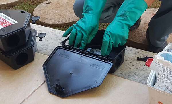 Dedetizadora de Ratos em Ubatuba - SP 