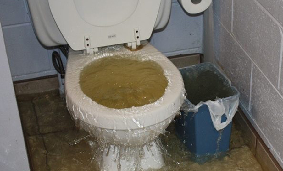 Desentupidora de Vaso em Ubatuba - SP | Desentupimento Vaso Sanitário SP Combate Ambiental
