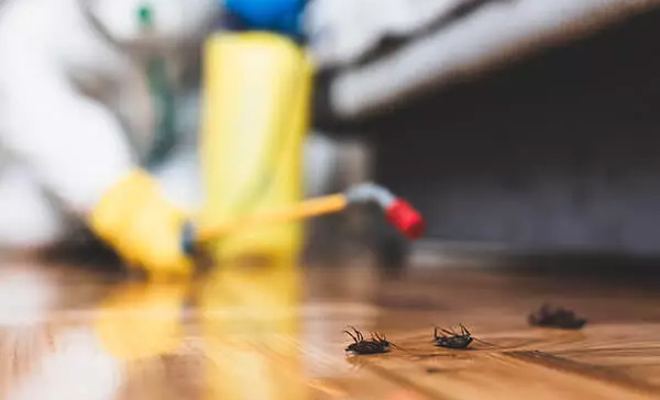Dedetizadora de Apartamentos em Cubatão - SP 